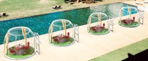 Polycarbonate Bubble Tent
