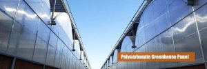 Polycarbonate greenhouse panel