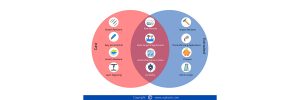 Cast & Extruded Plexiglass