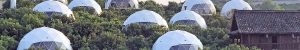 Geodesic Dome In China