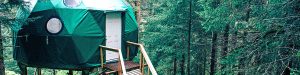 Green Geodesic Dome tent